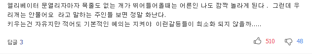 반려동물 때문에..쫓겨나고 전과자 되는 주인들 | 인스티즈