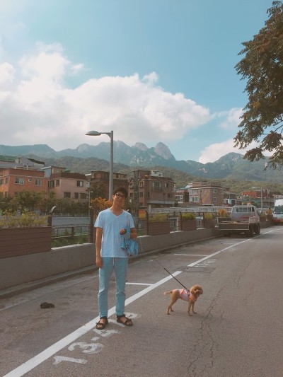 쭈꾸 이미지
