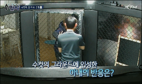[수방사] 집에 케이지를 만들어놔서 빡친 아내.gif | 인스티즈