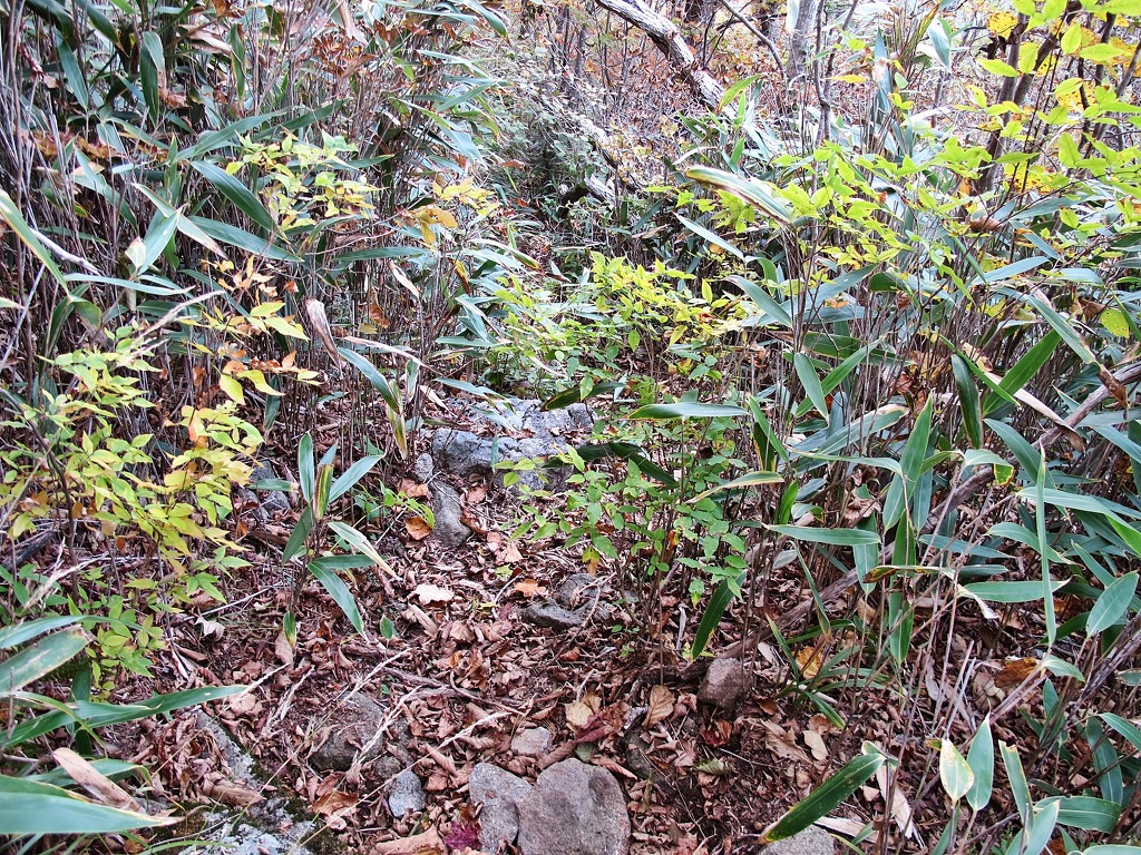 하산지점 이미지