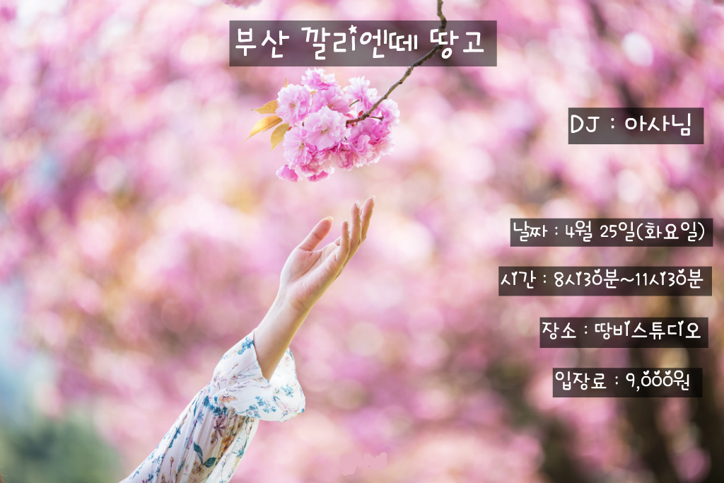 깔리엔떼 이미지