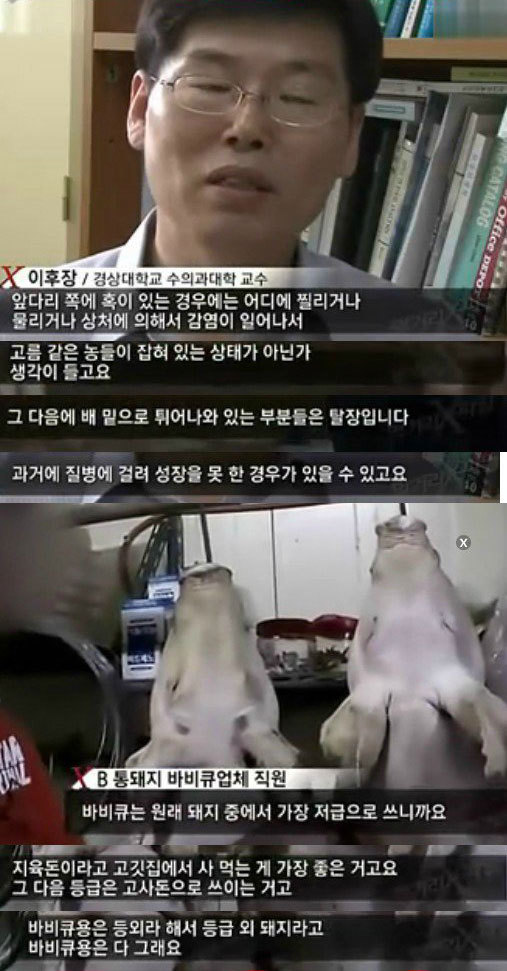 통돼지네 이미지