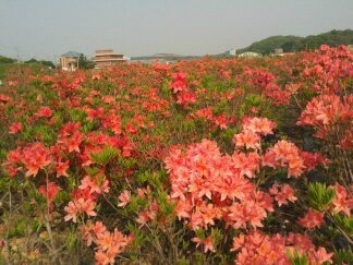 구봉화랑 이미지