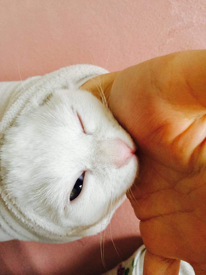 자고 일어난 사이에 살찐줄.jpg | 인스티즈