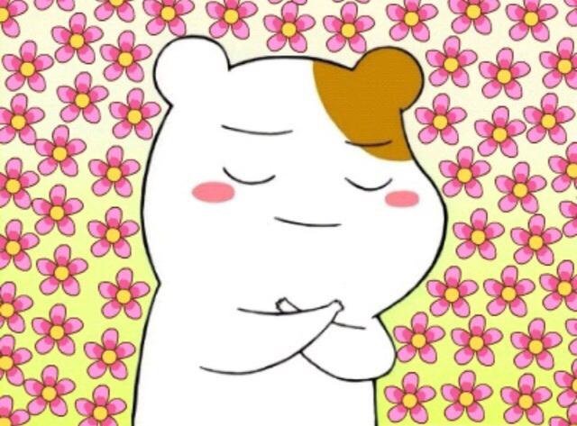 츄츄다 이미지
