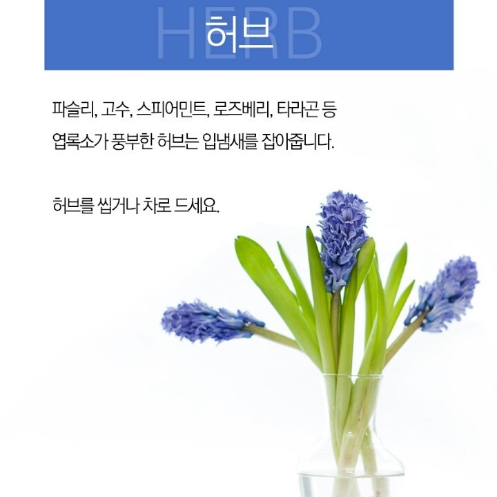 입냄새를 잡아주는 8가지 | 인스티즈