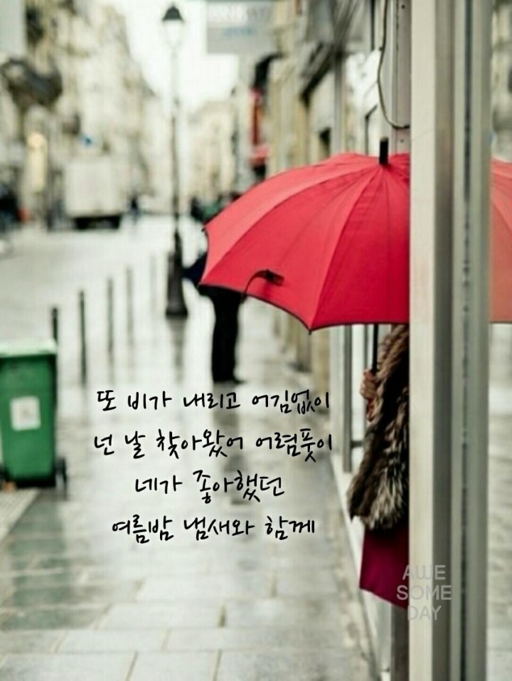 단비네 이미지