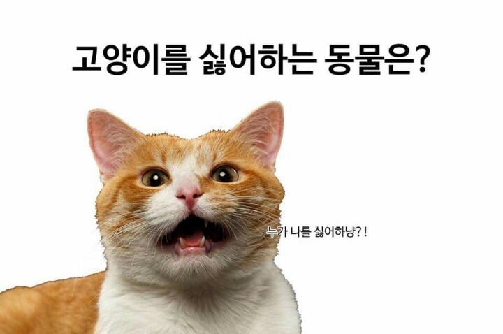 전화기로 지은 건물을 뭐라고 하는지 알아? | 인스티즈