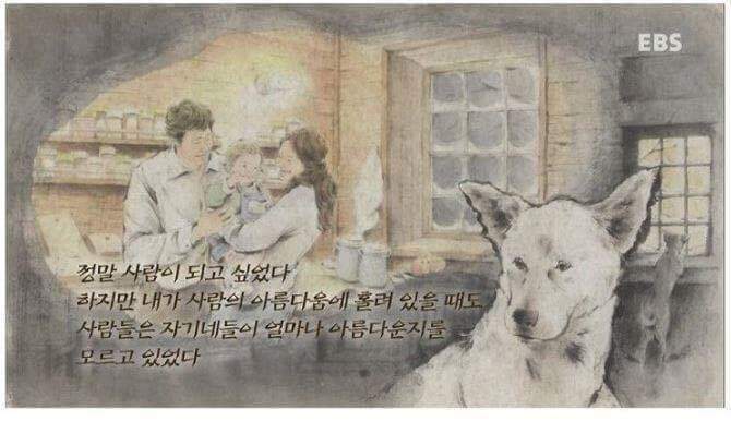 나는 아직 살수 있는데 왜 죽으라하나요 | 인스티즈