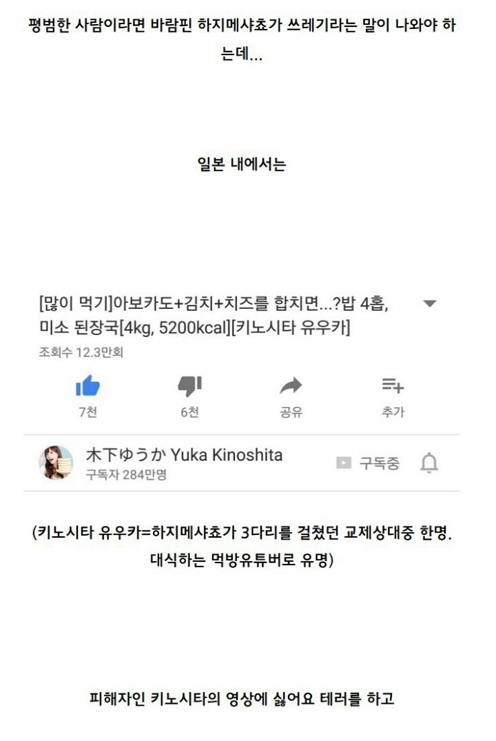 하지메사쵸 사건 정리 | 인스티즈