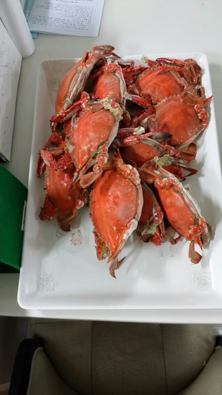 소라 이미지
