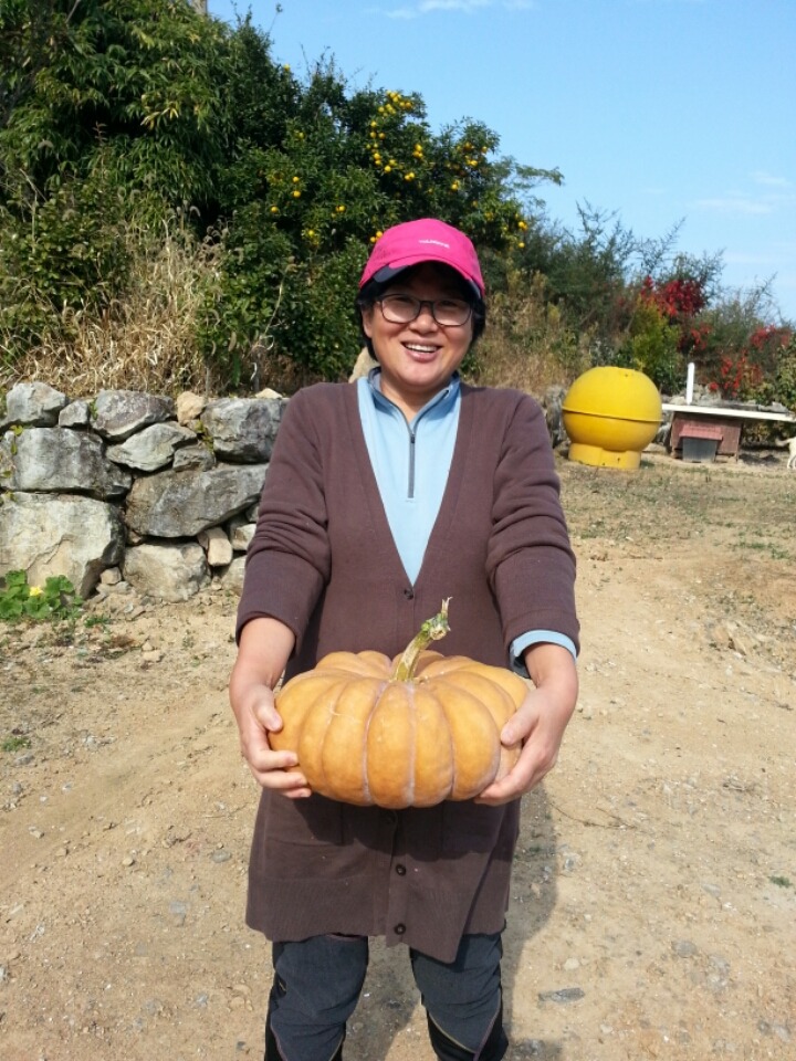 고흥댁 이미지