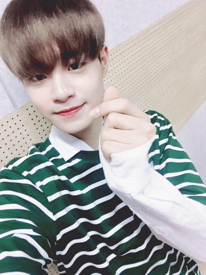 둥이 이미지