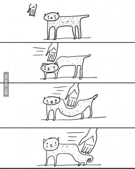 고양이 주인은 이해함 | 인스티즈