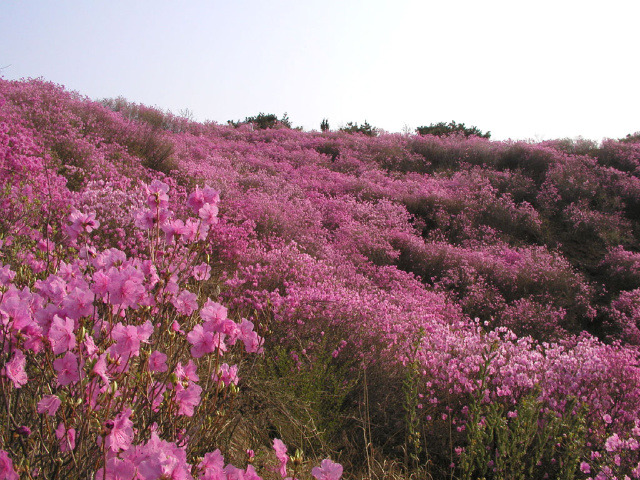 산처럼물처럼 이미지