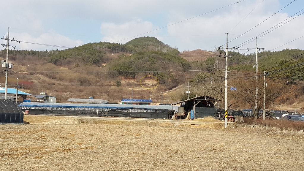 천태산하 이미지