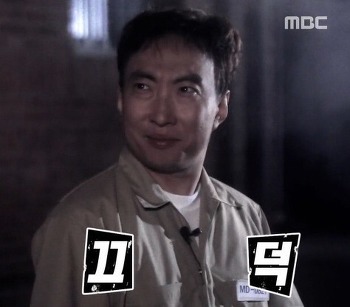 [고르기] 오갈데 없는 여시와 함께 있어줄 사람을 골라보자 | 인스티즈