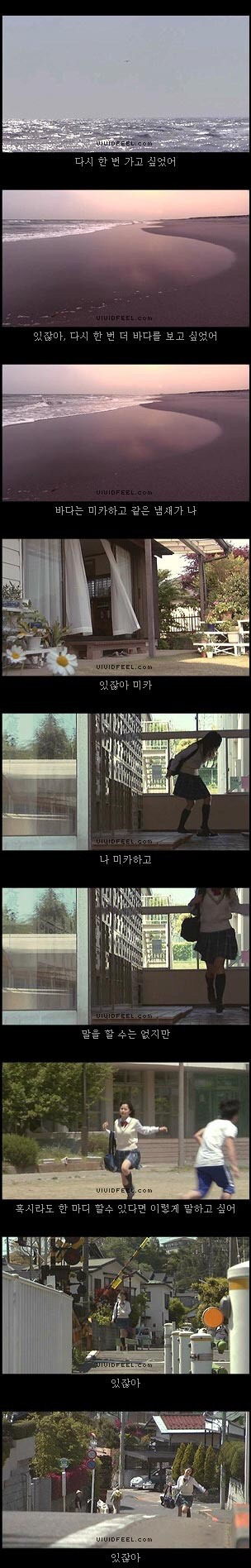 [눈물주의슬픔주의] 강아지의 일생 | 인스티즈