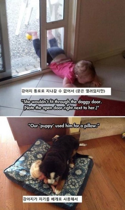 아기들이 우는 이유 | 인스티즈