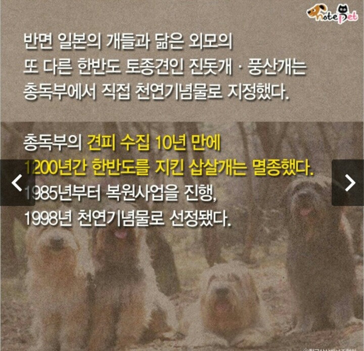 일제강점기 한반도에서 사라진 동물들.jpg | 인스티즈