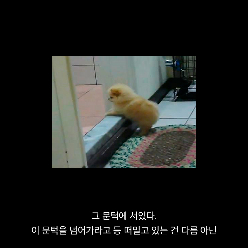 항생제의 역습 | 인스티즈