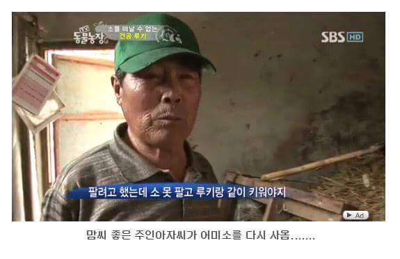 의리빼면 시체인 강아지 | 인스티즈