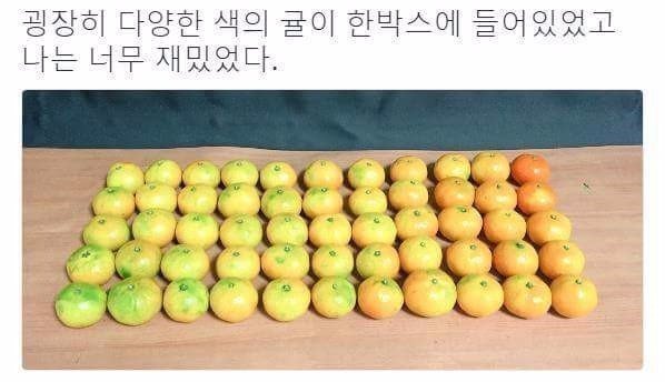 흔한 미대생의 놀이 | 인스티즈