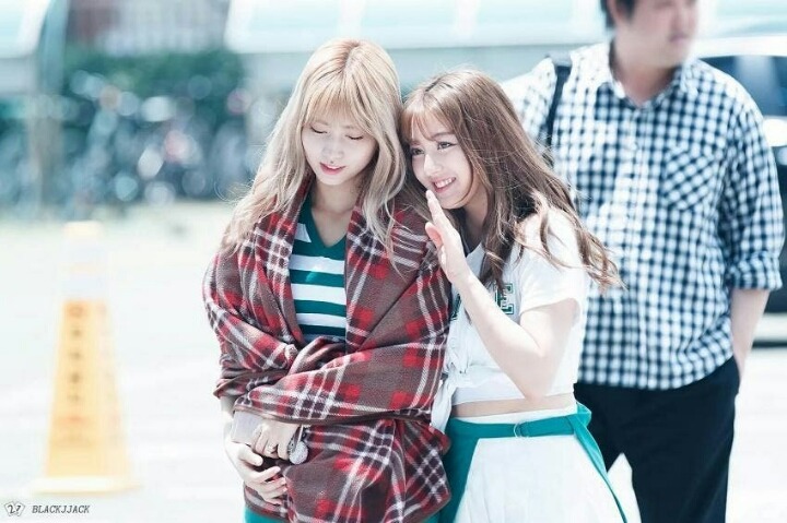 [트와이스] 분위가 너무 예쁜 모모랑 지효 사진 | 인스티즈