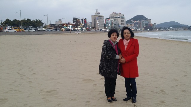 남쪽향기 이미지