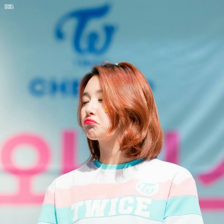 스타비어 이미지