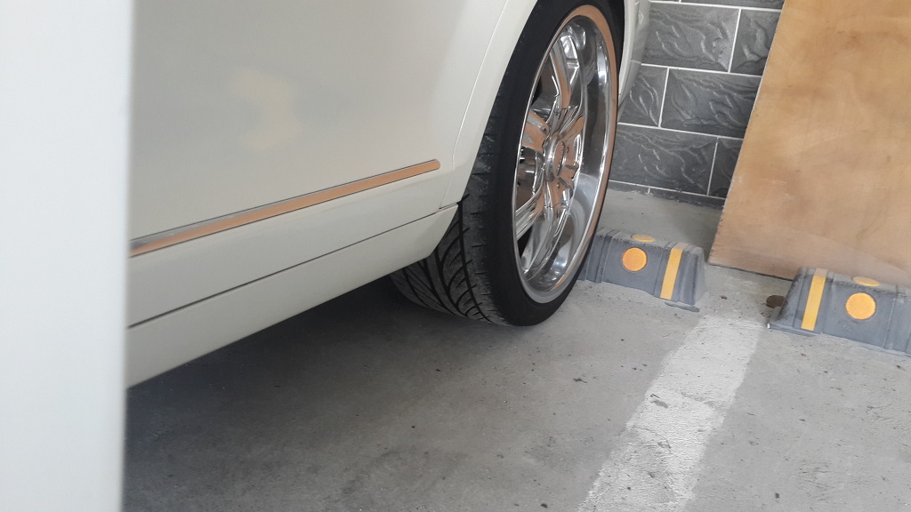 브래뉴 이미지