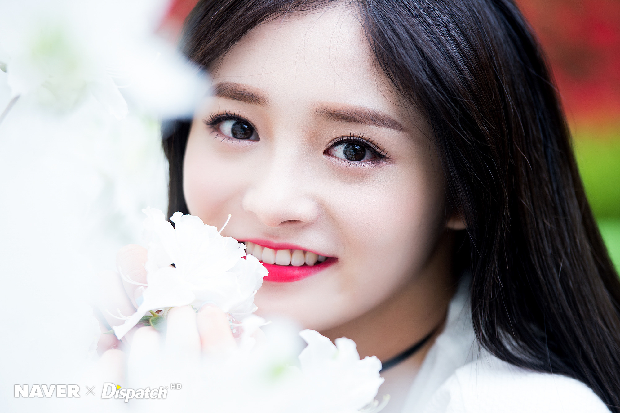 [데이터주의] 프리스틴 주예보스 주결경 hd포토 | 인스티즈