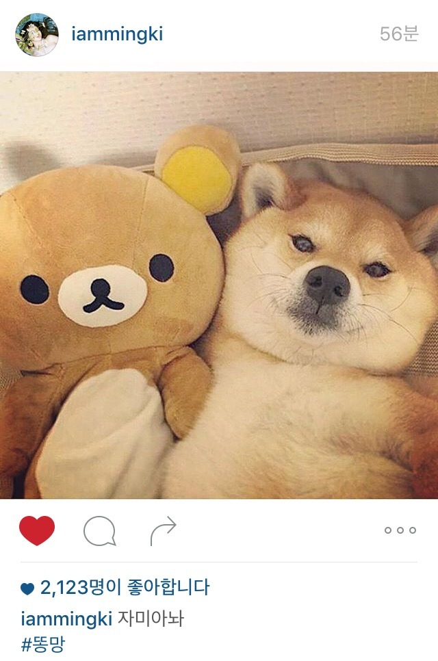 강민경 인스타 | 인스티즈