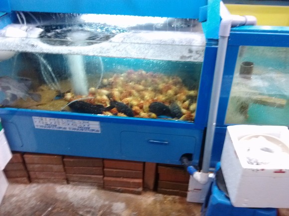 남도횟집 이미지