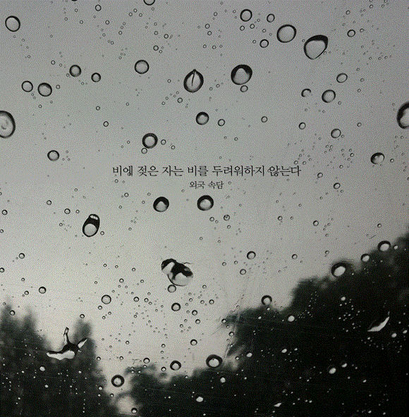 평생 삶의 결정적 순간을 찍으려 발버둥 쳤으나 삶의 모든 순간이 결정적 순간이었다 | 인스티즈