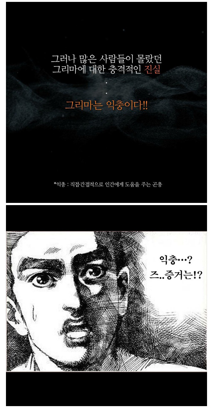 벌레 죽이지 마세요... | 인스티즈
