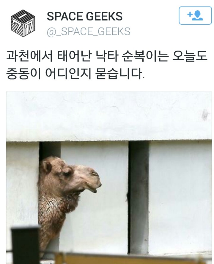 트위터모음 2 | 인스티즈