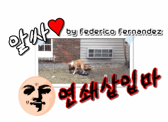 불타는 주말 알싸클럽오픈.jpgif | 인스티즈