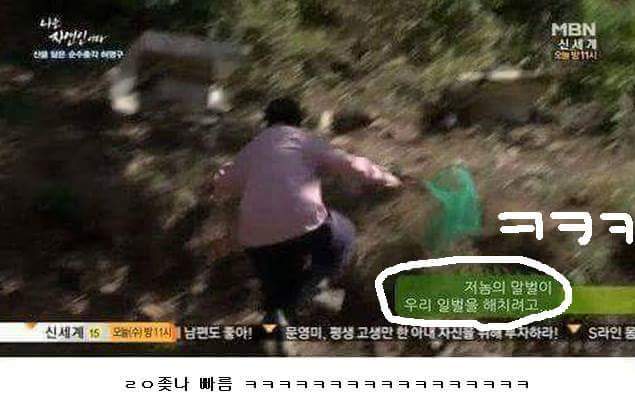말벌잡는아저씨ㅋㅋㅋㅋㅋㅋㅋㅋ | 인스티즈