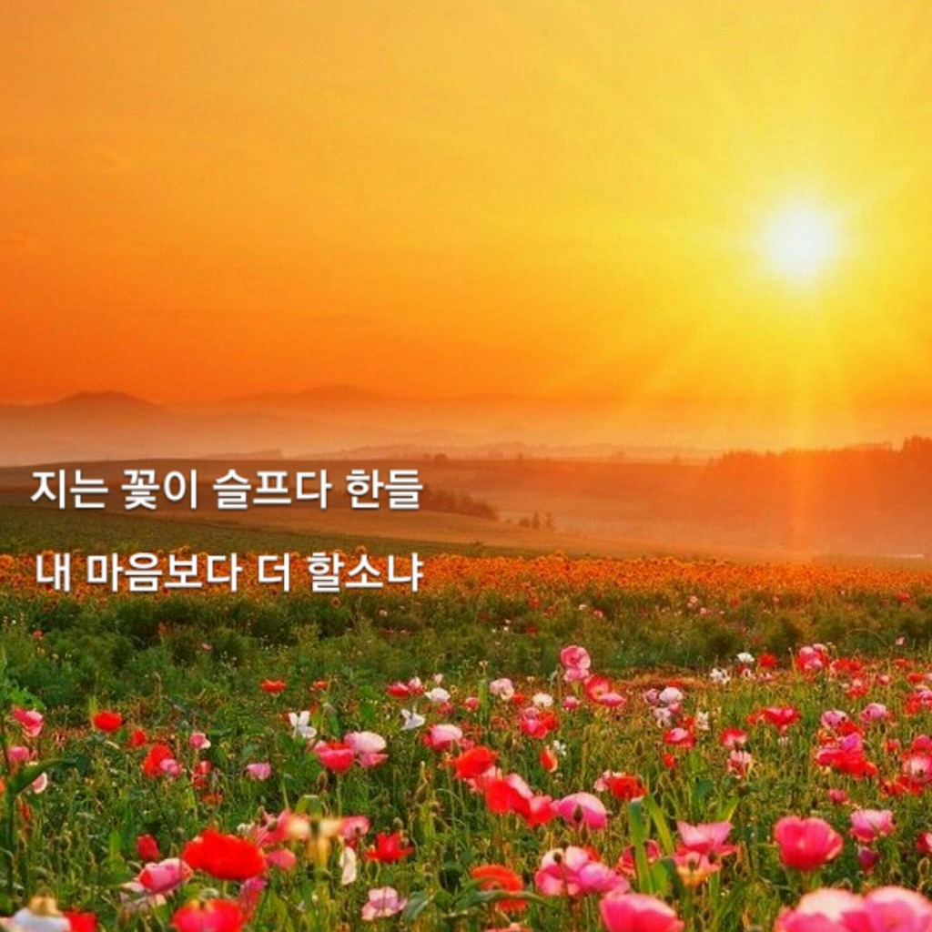 일장춘몽 이미지
