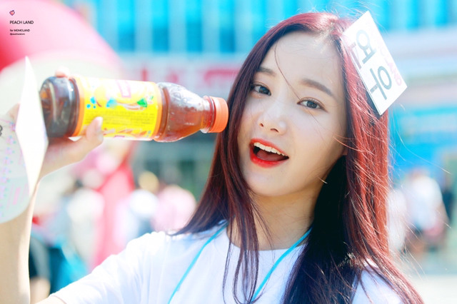 다빈 이미지