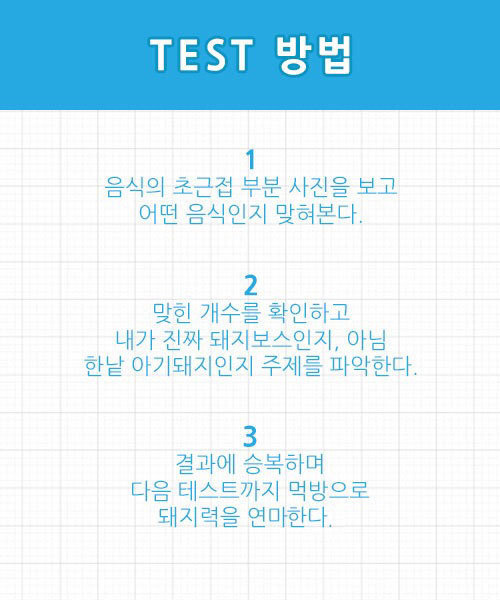 돼지보스 테스트 - 빵 편 | 인스티즈