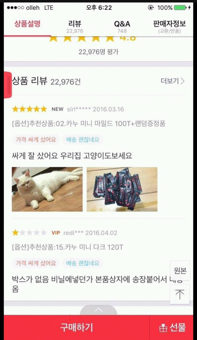 고양이 키우는 놈들 특징.jpg | 인스티즈