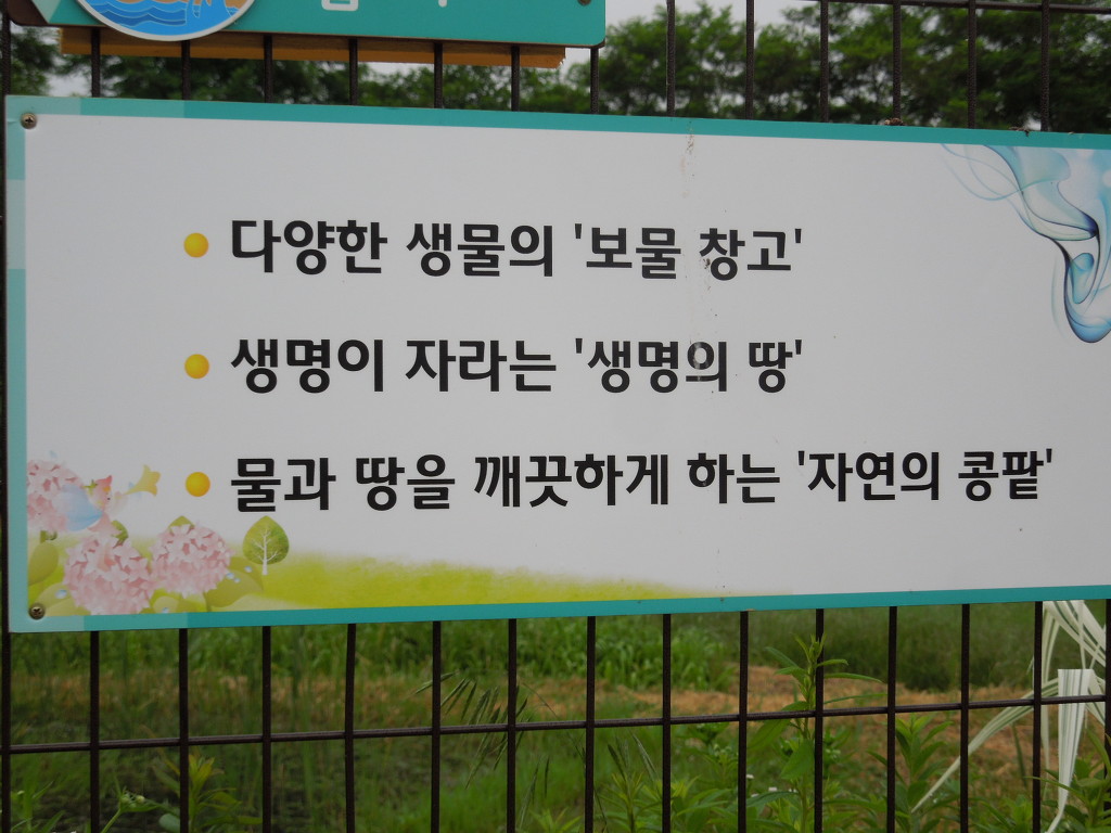 보은달 이미지