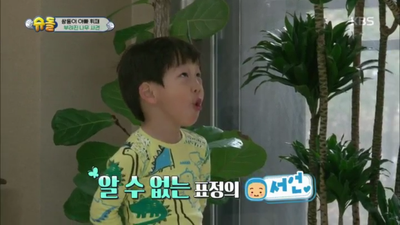 나무를 부러트린 서준이의 최후 | 인스티즈