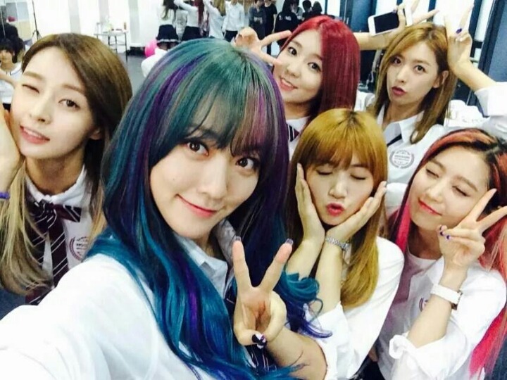 2016 첫 헬로비너스 | 인스티즈