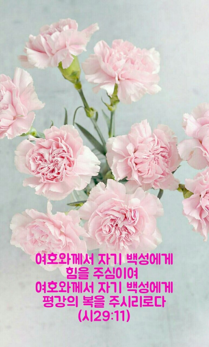 평강 이미지