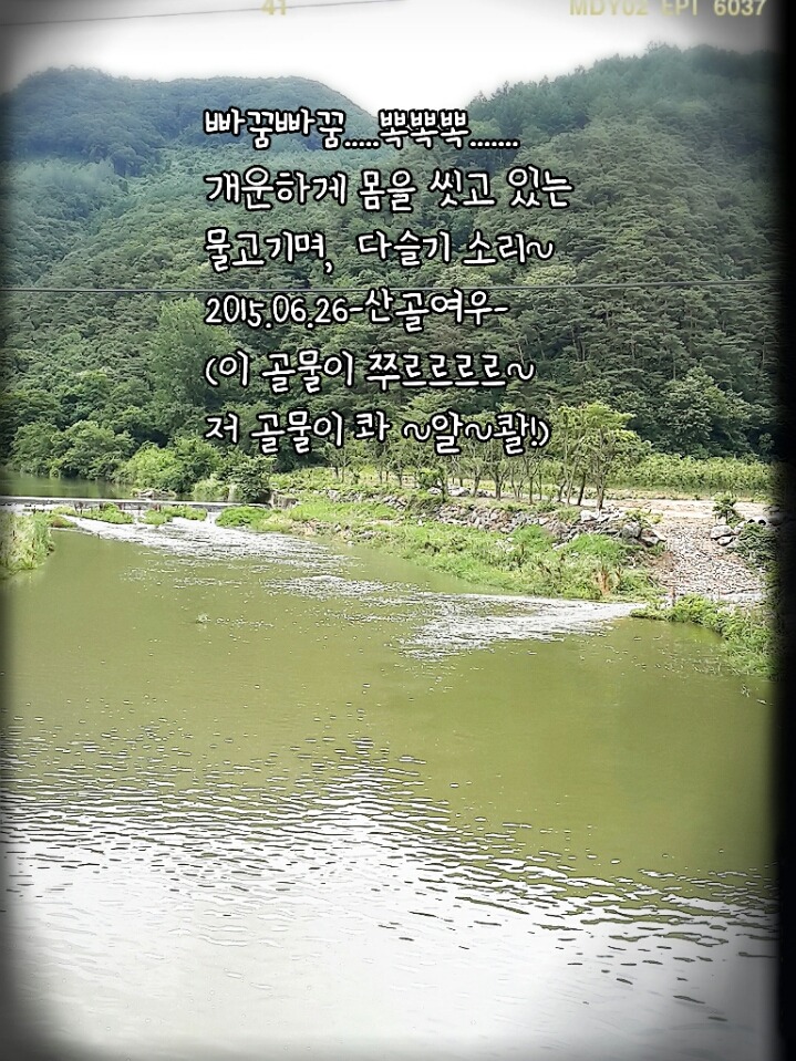 지이 이미지