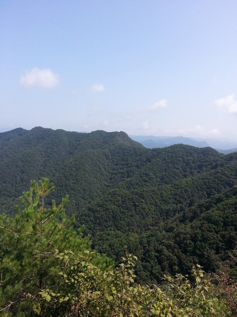 완택산 이미지