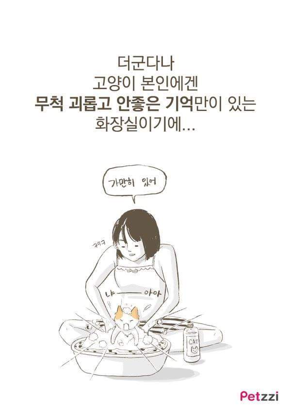 고양이가 화장실 앞에서 기다리고있는 이유(만화).jpg | 인스티즈